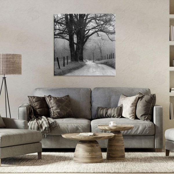 Stupell Industries Nicholas Bell | Lonely Path Toward Trees Wall Art