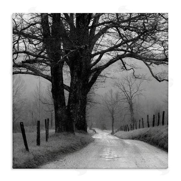 stupell industries Nicholas Bell | Lonely Path Toward Trees Wall Art