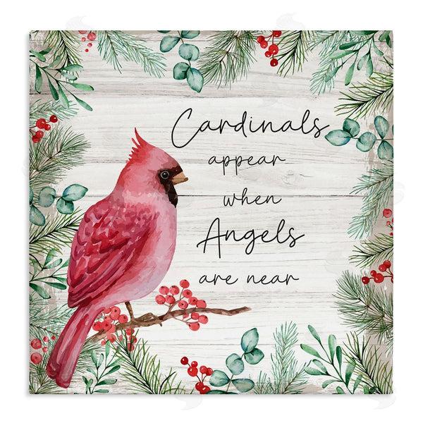 stupell industries Nicole DeCamp | Cardinals Appear When Angels Near Phrase Wall Art