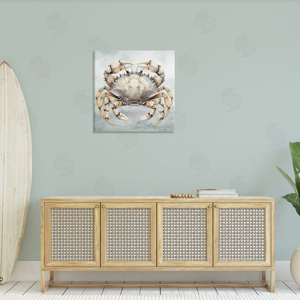 Stupell Industries Nicole DeCamp | Detailed Sea Crab Wall Art