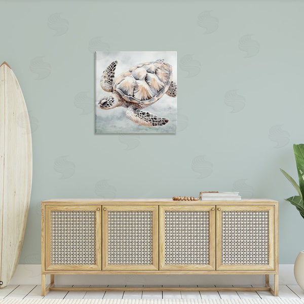 Stupell Industries Nicole DeCamp | Detailed Sea Turtle Wall Art