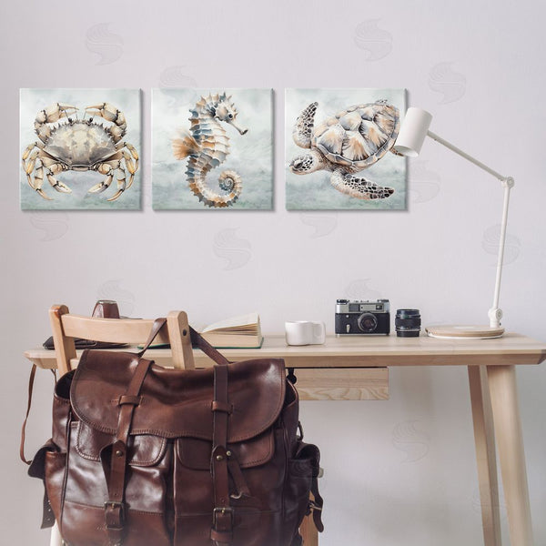 Stupell Industries Nicole DeCamp | Traditional Marine Life Wall Art