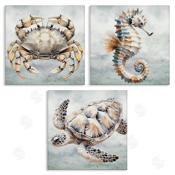 stupell industries Nicole DeCamp | Traditional Marine Life Wall Art