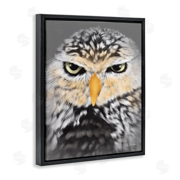 Stupell Industries Nidhi Wadhwa | Owl Wildlife Portrait Wall Art