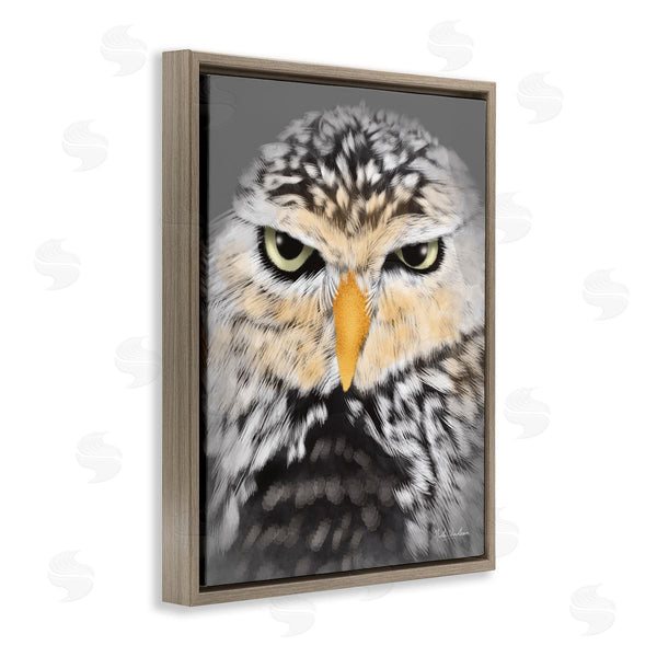 Stupell Industries Nidhi Wadhwa | Owl Wildlife Portrait Wall Art