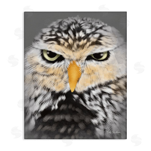 stupell industries Nidhi Wadhwa | Owl Wildlife Portrait Wall Art