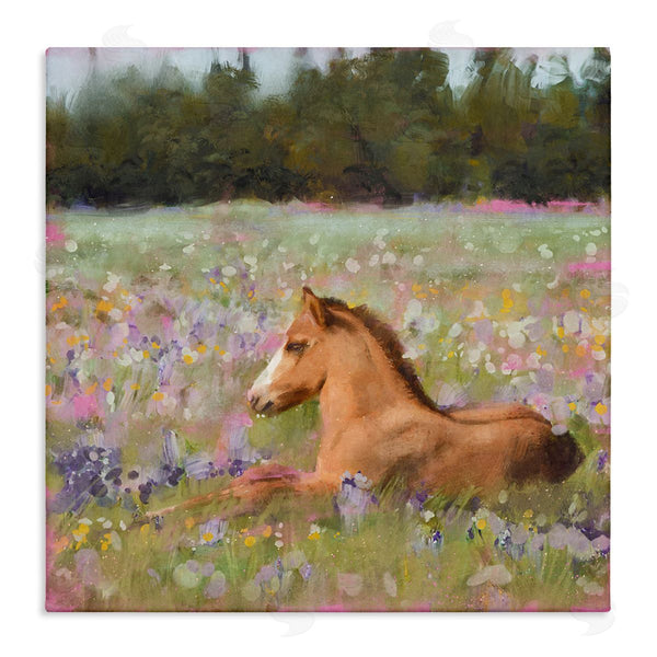 stupell industries Nina Blue | Foal Horse Lounging Flower Meadow
