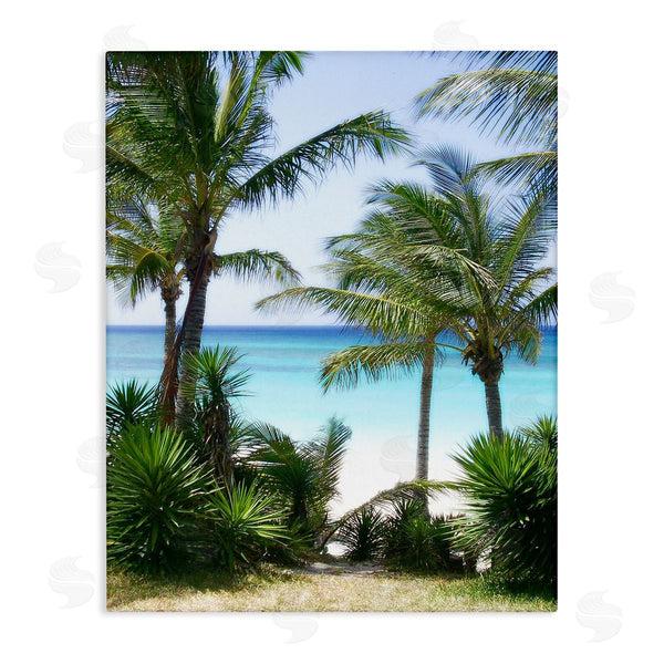 stupell industries Noah Bay | Palm Trees Near Beach Wall Art