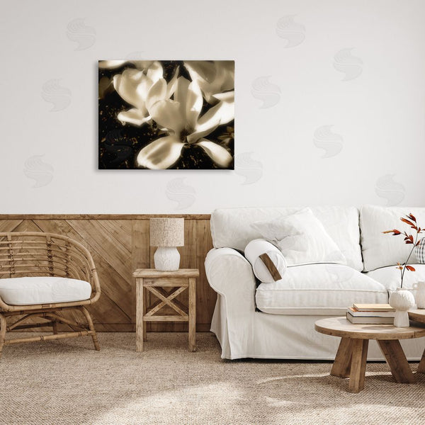 Stupell Industries Noah Bay | Plant Petals In Nature Wall Art