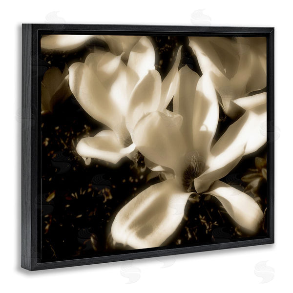 Stupell Industries Noah Bay | Plant Petals In Nature Wall Art