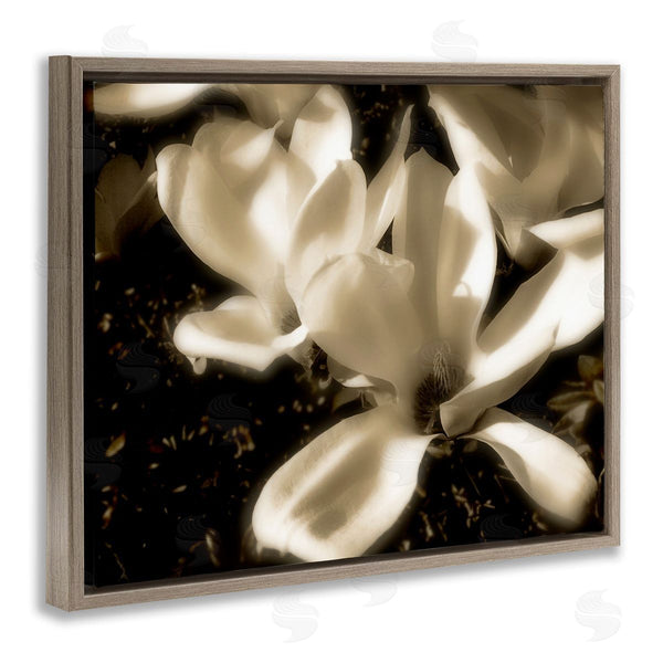 Stupell Industries Noah Bay | Plant Petals In Nature Wall Art