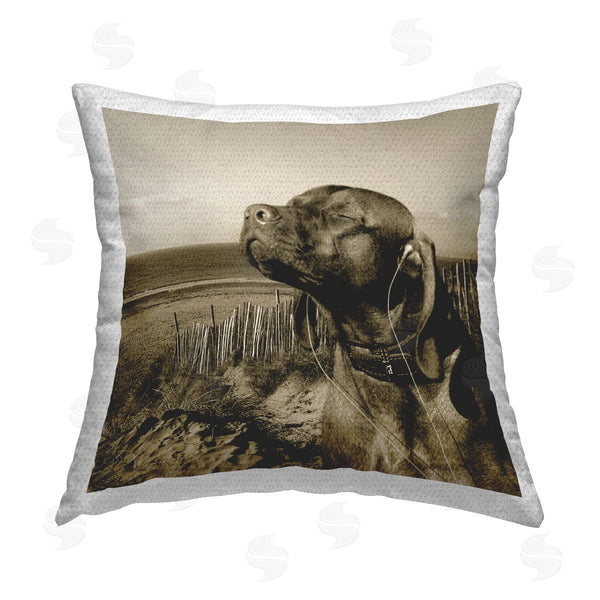 Stupell Industries Noah Bay | Relaxed Dog With Music Printed Throw Pillow