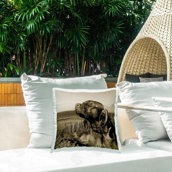 Stupell Industries Noah Bay | Relaxed Dog With Music Printed Throw Pillow