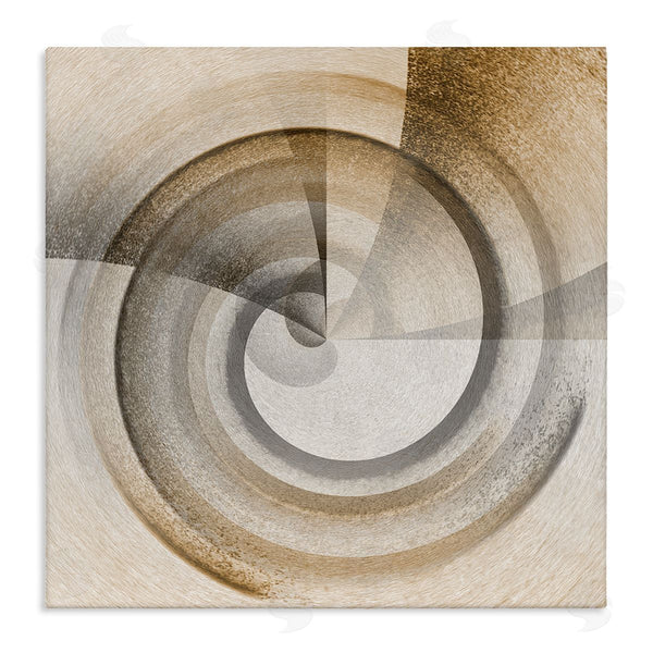 stupell industries Noah Bay | Spinning Centric Circle Wall Art