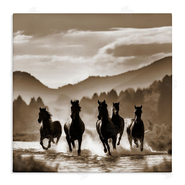 stupell industries Noah Bay | Splashing Canyon Stallions Wall Art