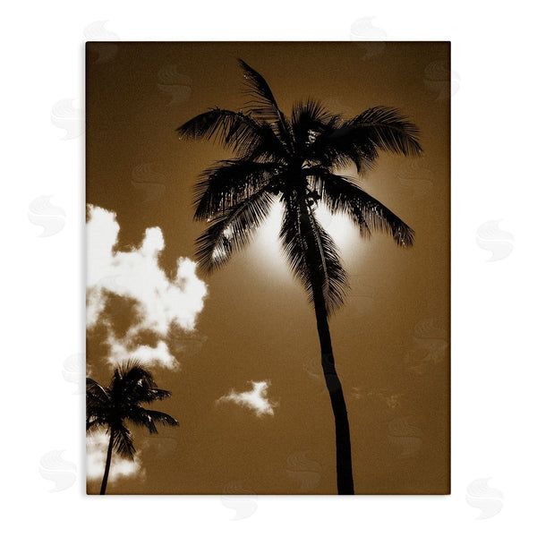 stupell industries Noah Bay | Sunlight Through Palms Wall Art