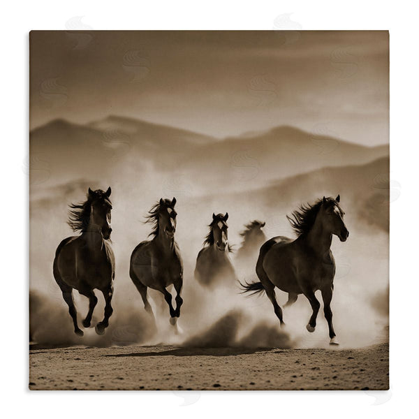 stupell industries Noah Bay | Trotting Mountain Stallions Wall Art