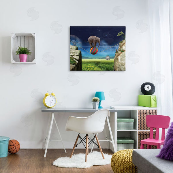 Stupell Industries Nobleworks | Elephant Balancing On Ball Wall Art