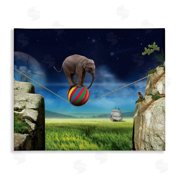 stupell industries Nobleworks | Elephant Balancing on Ball Wall Art