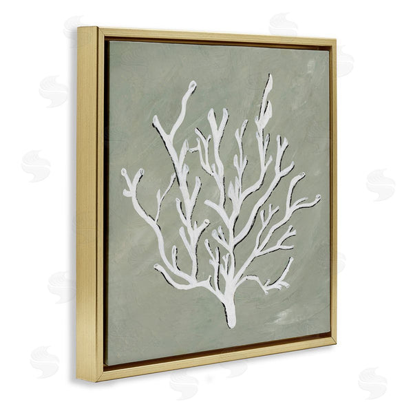 Stupell Industries Nola James | White Coral Impression