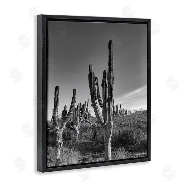 Stupell Industries Norm Stelfox | Cactus Field & Vast Sky