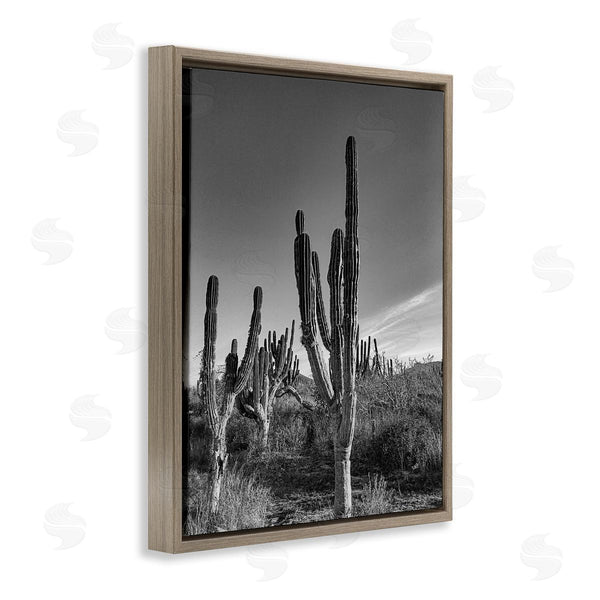 Stupell Industries Norm Stelfox | Cactus Field & Vast Sky