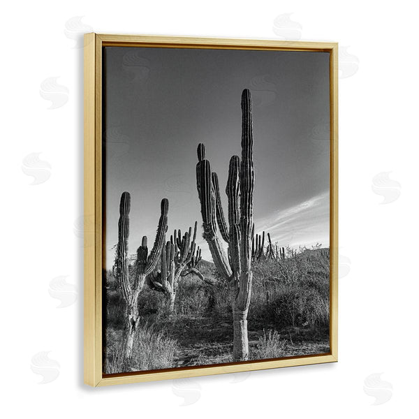 Stupell Industries Norm Stelfox | Cactus Field & Vast Sky