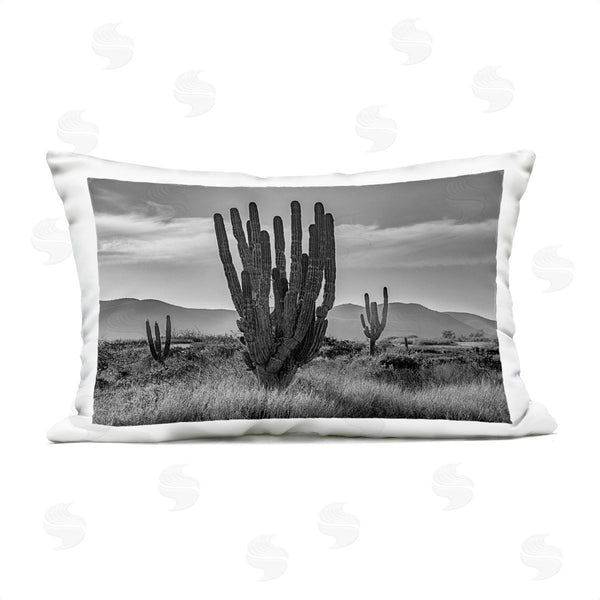 Stupell Industries Norm Stelfox | Cactus Sunset In Monochrome Printed Throw Pillow
