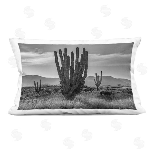 stupell industries Norm Stelfox | Cactus Sunset in Monochrome Printed Throw Pillow