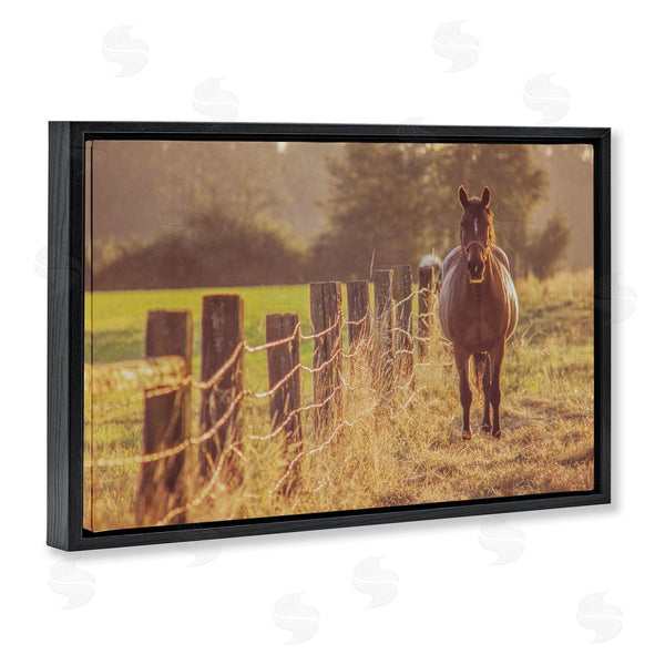 Stupell Industries Norm Stelfox | Horse's Farm At Dawn