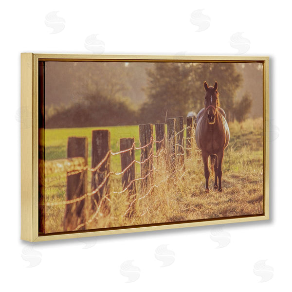 Stupell Industries Norm Stelfox | Horse's Farm At Dawn