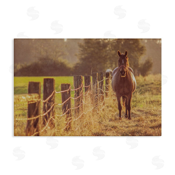 stupell industries Norm Stelfox | Horse's Farm at Dawn