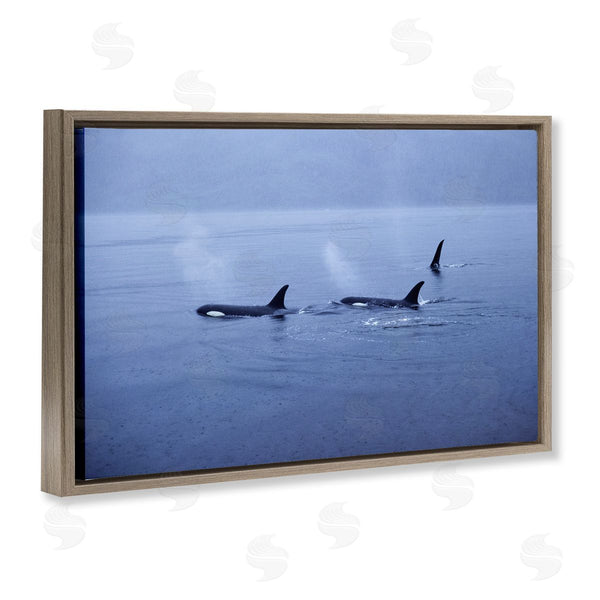 Stupell Industries Norm Stelfox | Orca Whispers Seascape