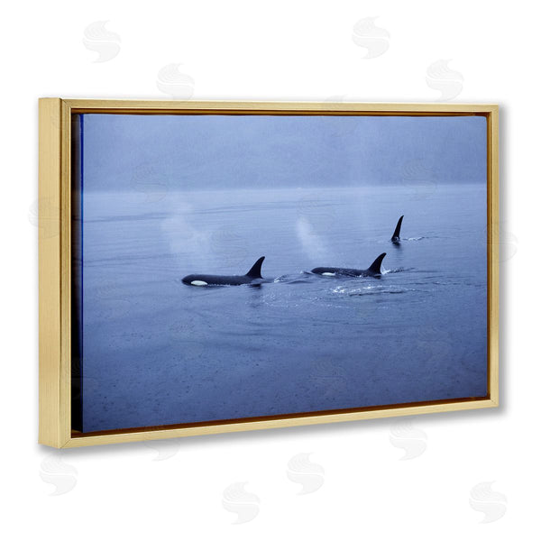 Stupell Industries Norm Stelfox | Orca Whispers Seascape