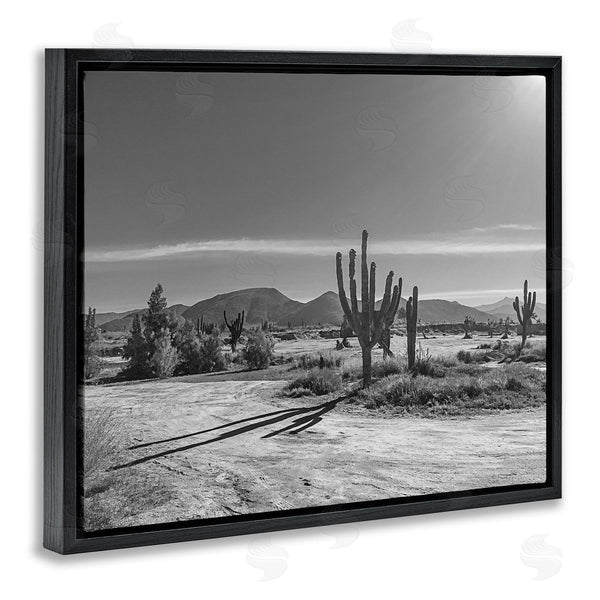 Stupell Industries Norm Stelfox | Sunlit Cactus Valley