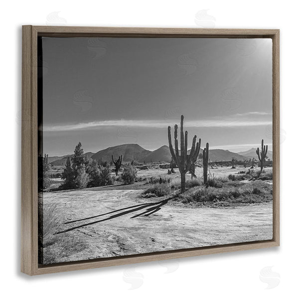 Stupell Industries Norm Stelfox | Sunlit Cactus Valley