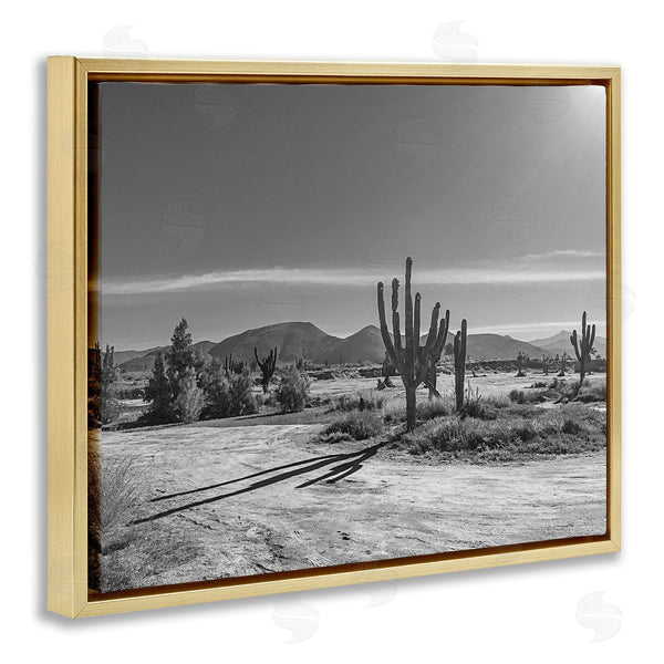 Stupell Industries Norm Stelfox | Sunlit Cactus Valley