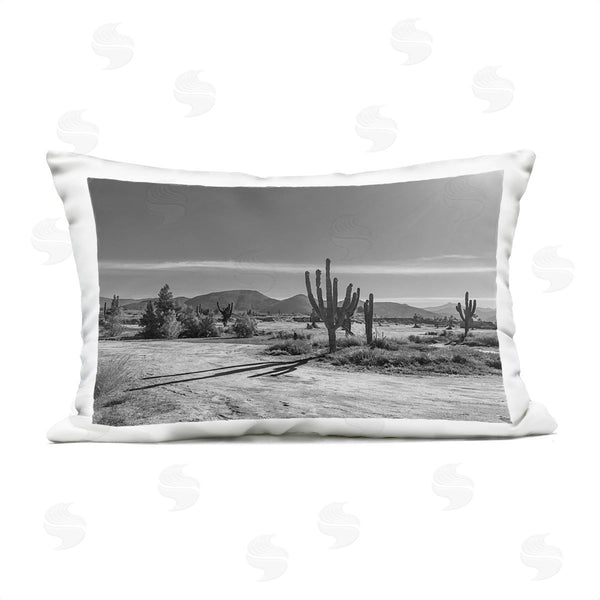 Stupell Industries Norm Stelfox | Sunlit Cactus Valley Printed Throw Pillow