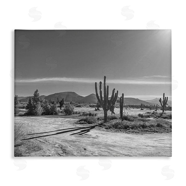stupell industries Norm Stelfox | Sunlit Cactus Valley