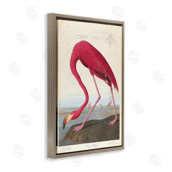 Stupell Industries One1000paintings | Classic American Flamingo Wall Art