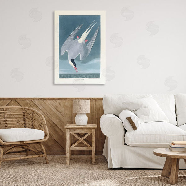 Stupell Industries One1000paintings | Classic Arctic Tern Bird Wall Art