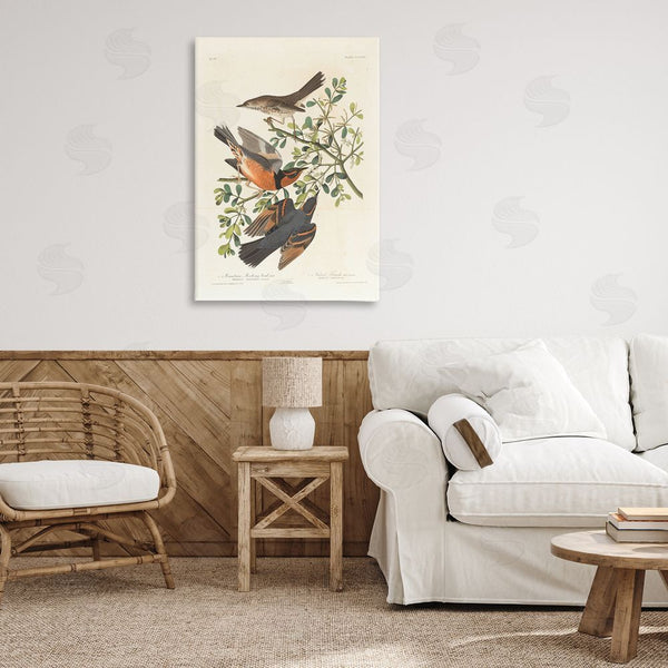 Stupell Industries One1000paintings | Classic Audubon Bird Study Wall Art