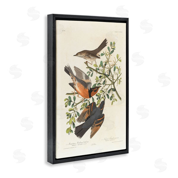 Stupell Industries One1000paintings | Classic Audubon Bird Study Wall Art