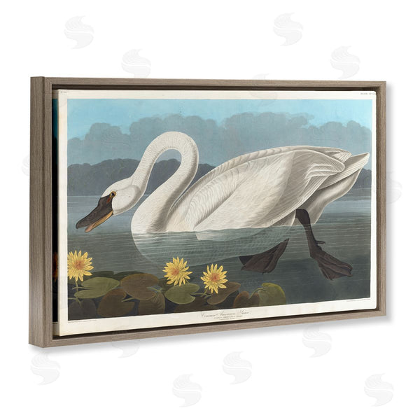 Stupell Industries One1000paintings | Classic Common American Swan Wall Art