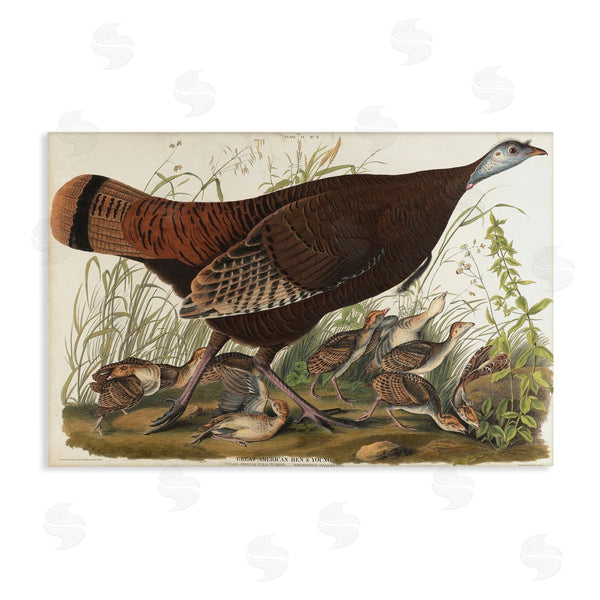 stupell industries one1000paintings | Classic Great American Hen Wall Art