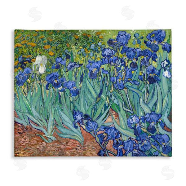 stupell industries one1000paintings | Classic Van Gogh Irises Wall Art