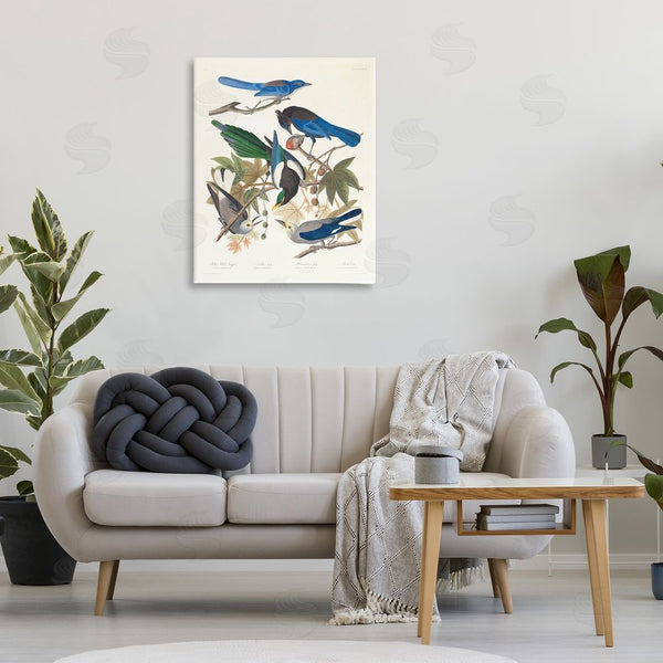 Stupell Industries One1000paintings | Classic Yellow Billed Magpie Wall Art