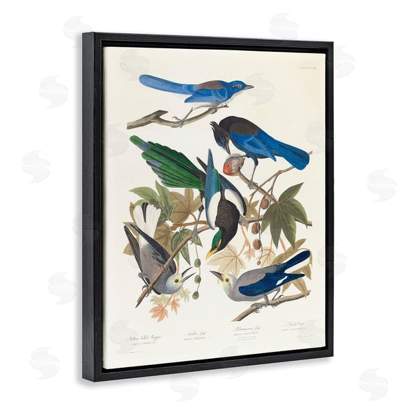 Stupell Industries One1000paintings | Classic Yellow Billed Magpie Wall Art