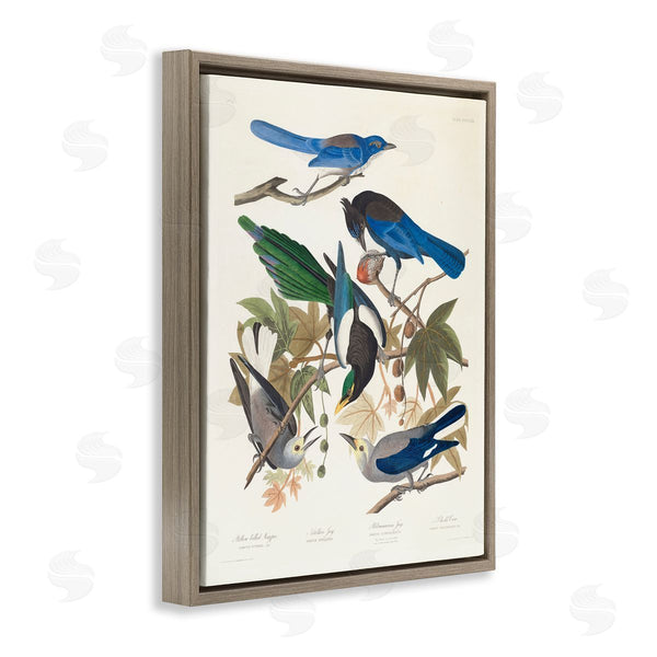 Stupell Industries One1000paintings | Classic Yellow Billed Magpie Wall Art