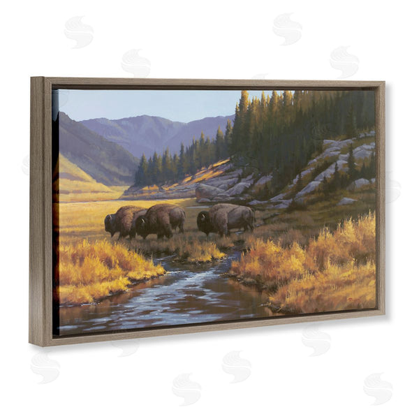 Stupell Industries Paco Young | Bison Trailing Serene Stream